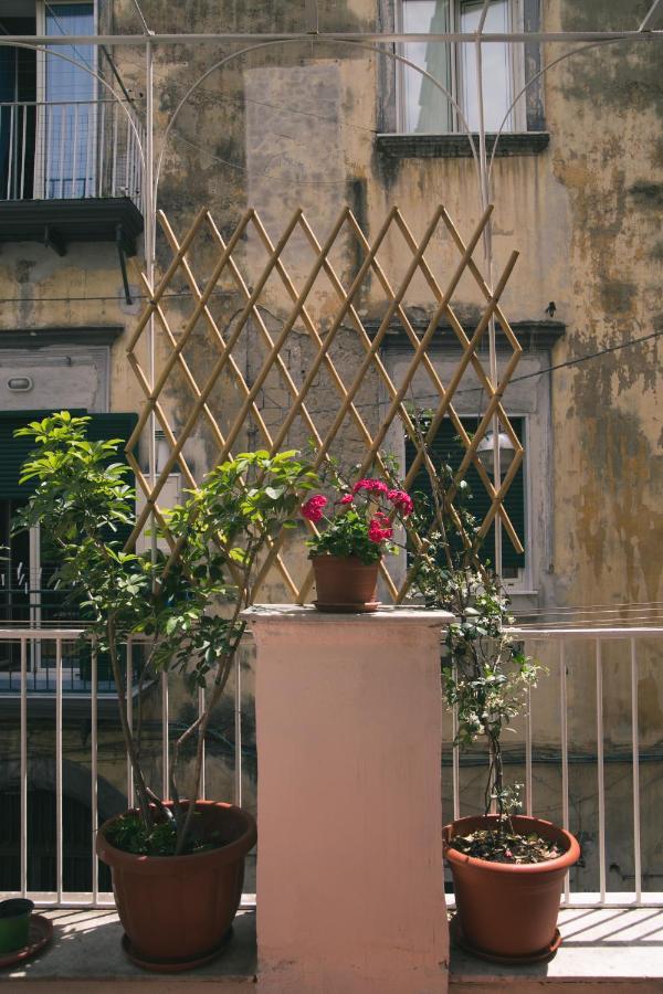 那不勒斯La Casa Del Nespolo, 2 Terrazzi E 2 Bagni In Centro公寓 外观 照片