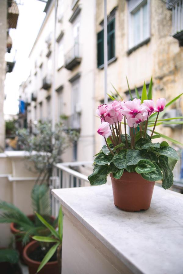 那不勒斯La Casa Del Nespolo, 2 Terrazzi E 2 Bagni In Centro公寓 外观 照片